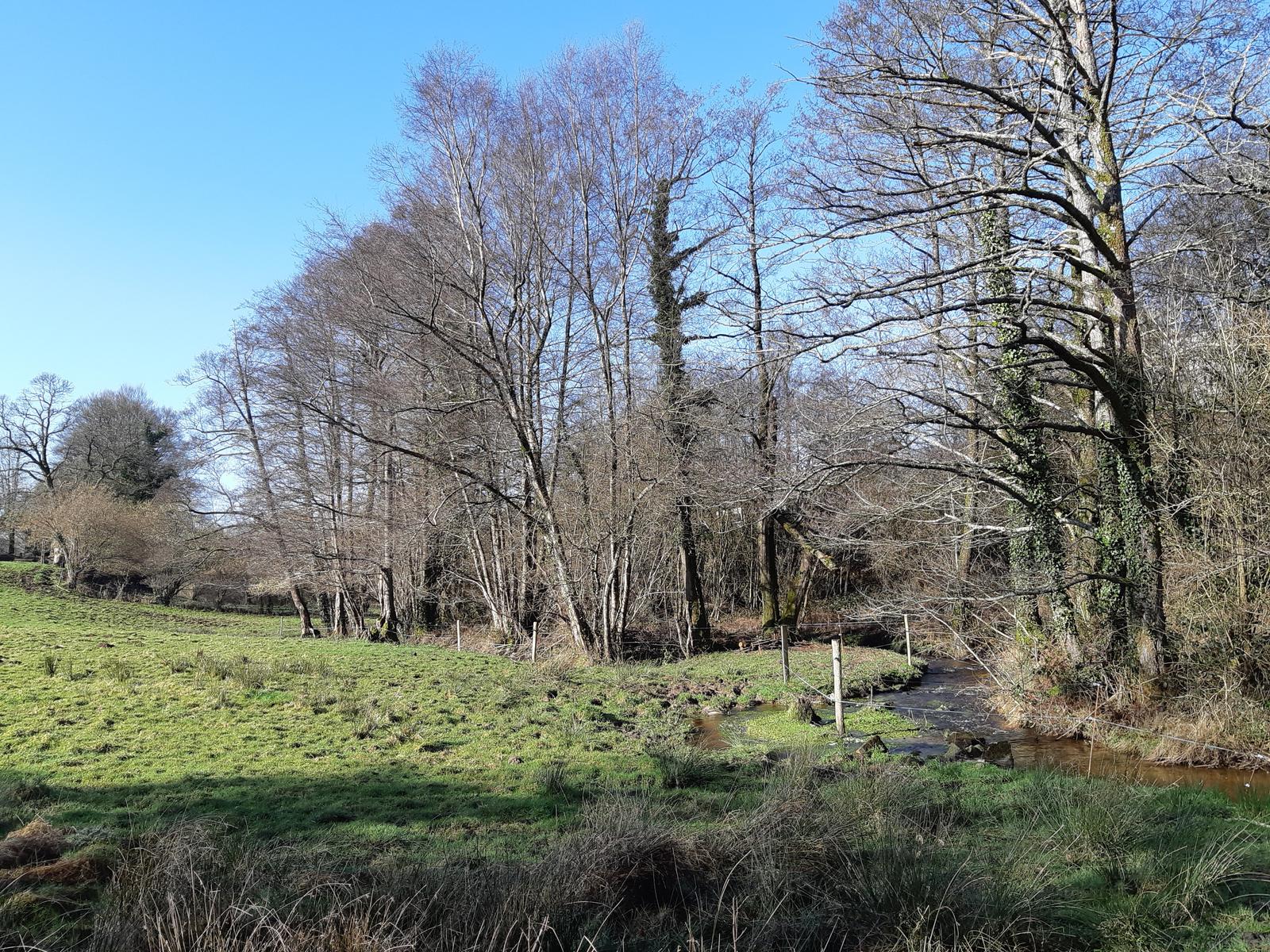 Rivière